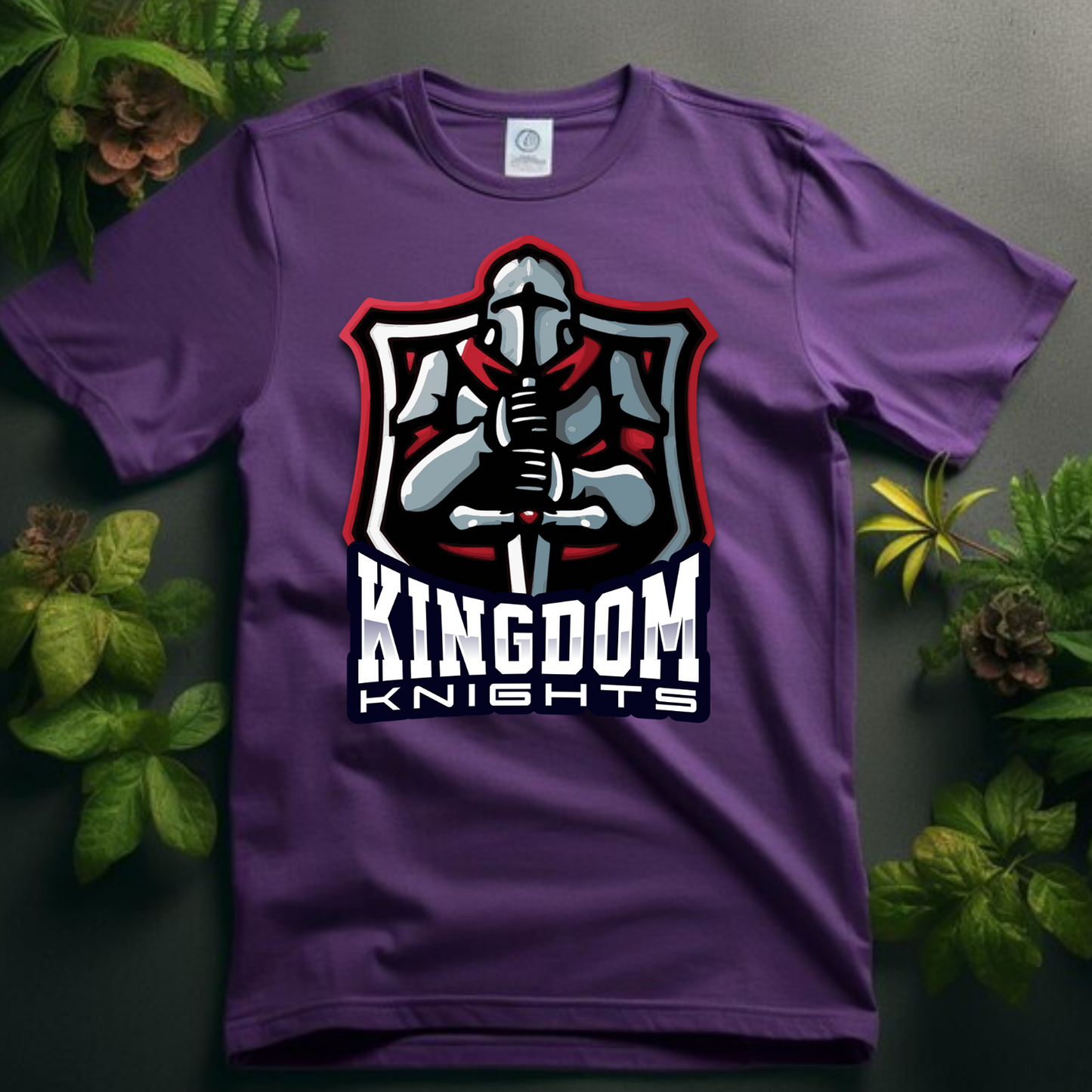 kingdom knights 2, Christian T-Shirt, Inspiration Apparel