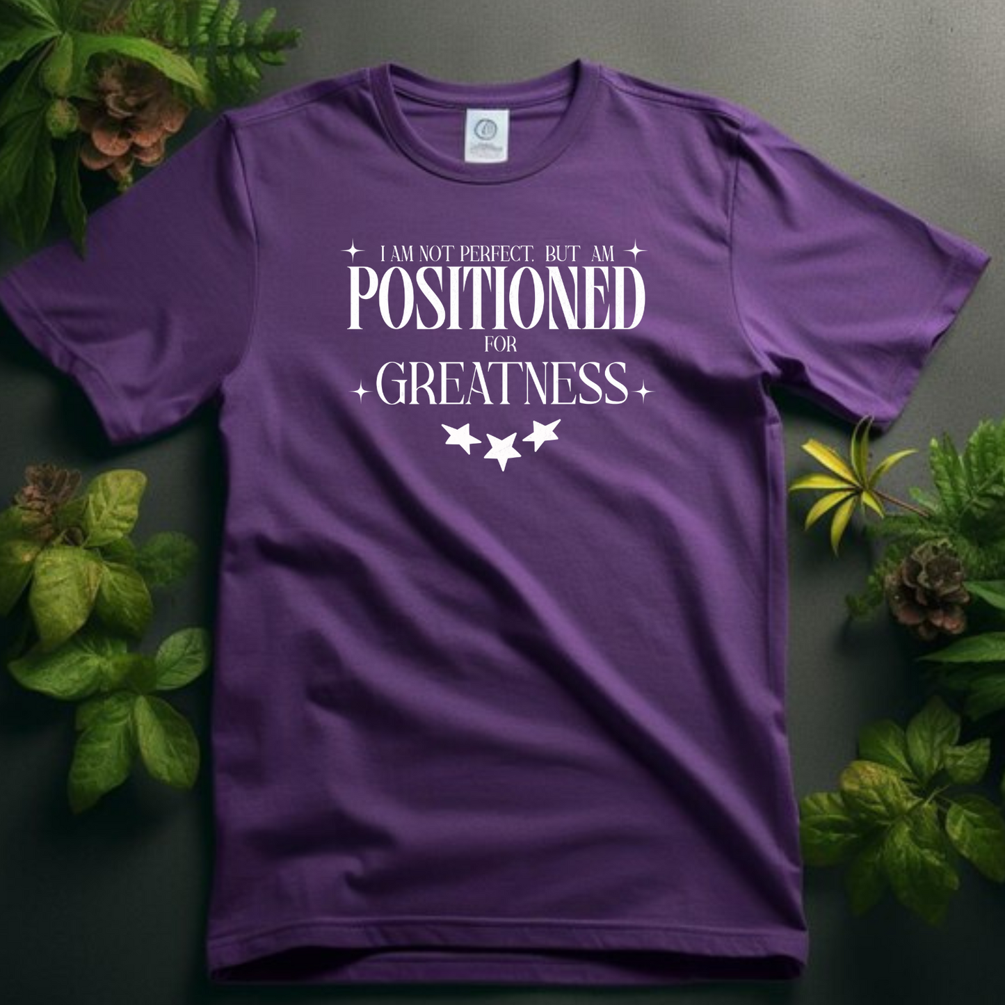 Positioned - Strategic Christian T-Shirt for Divine Purpose