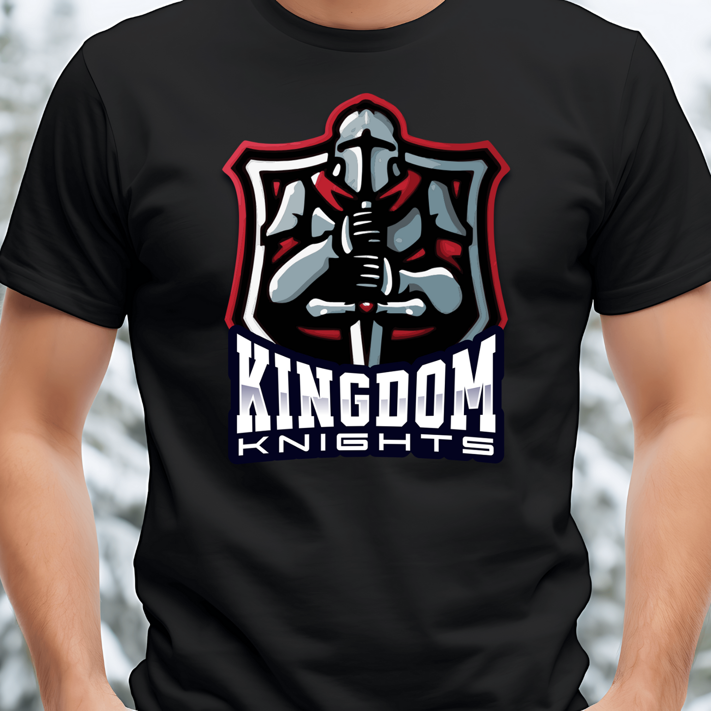 kingdom knights 2, Christian T-Shirt, Inspiration Apparel