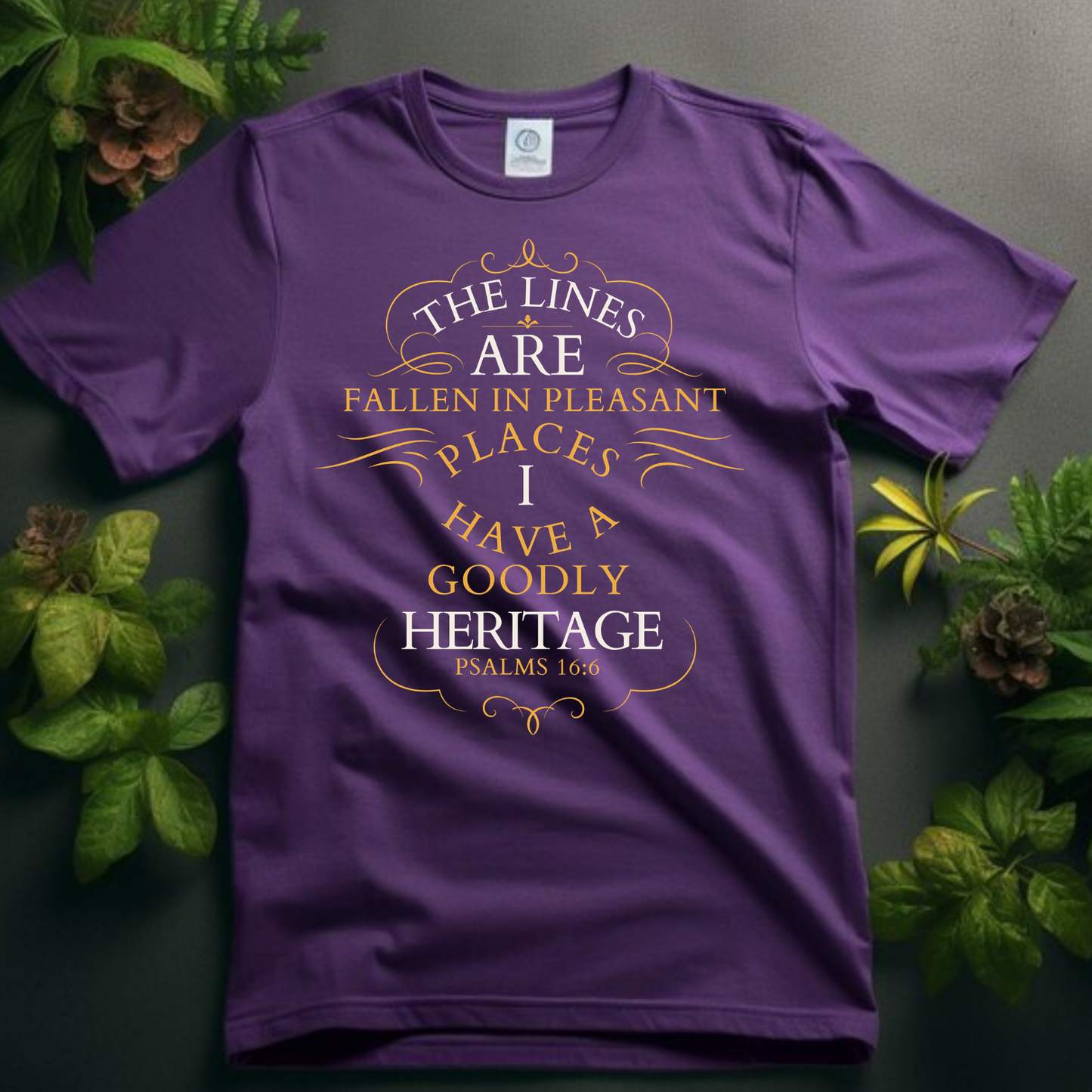 The Lines are in Pleasant Places - Ultimate Blessing Christian T-Shirt for Divine Favor