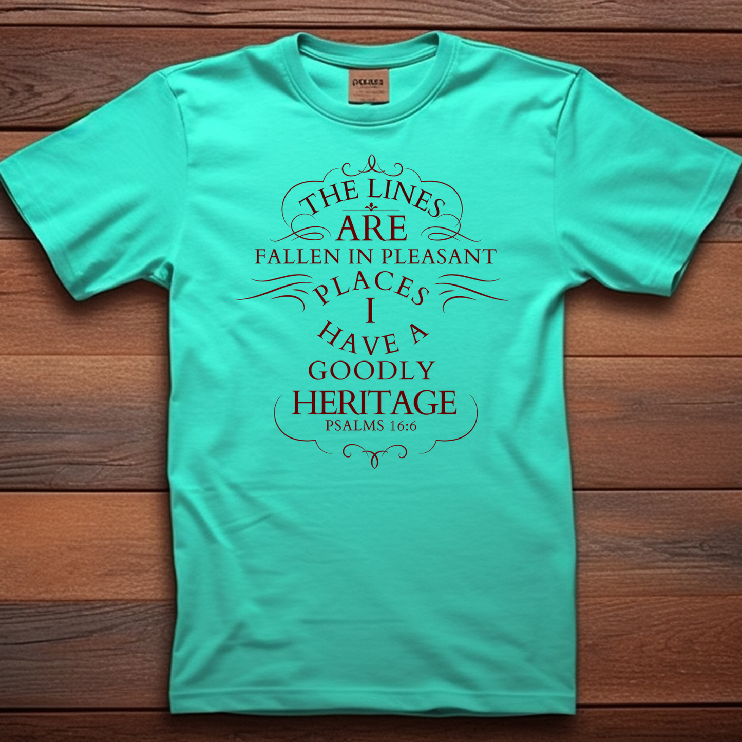 The Lines are in Pleasant Places - Ultimate Blessing Christian T-Shirt for Divine Favor